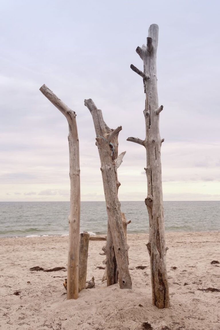 Reisetipps für einen unterhaltsamen und denkwürdigen Ausflug