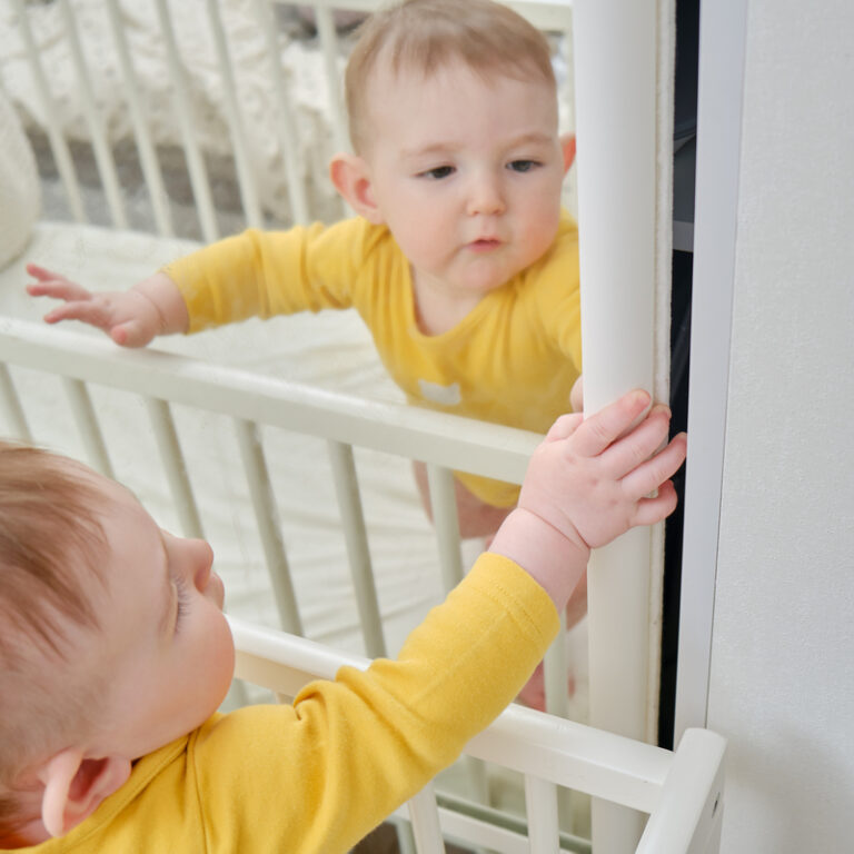 Tipps für die Auswahl und den Kauf